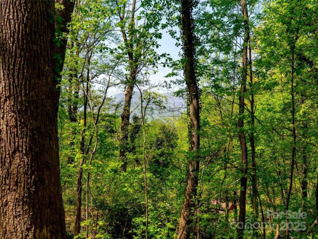 147 Sidney Lanier Drive