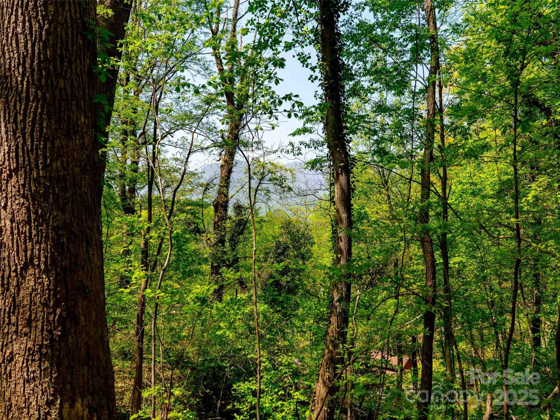 147 Sidney Lanier Drive