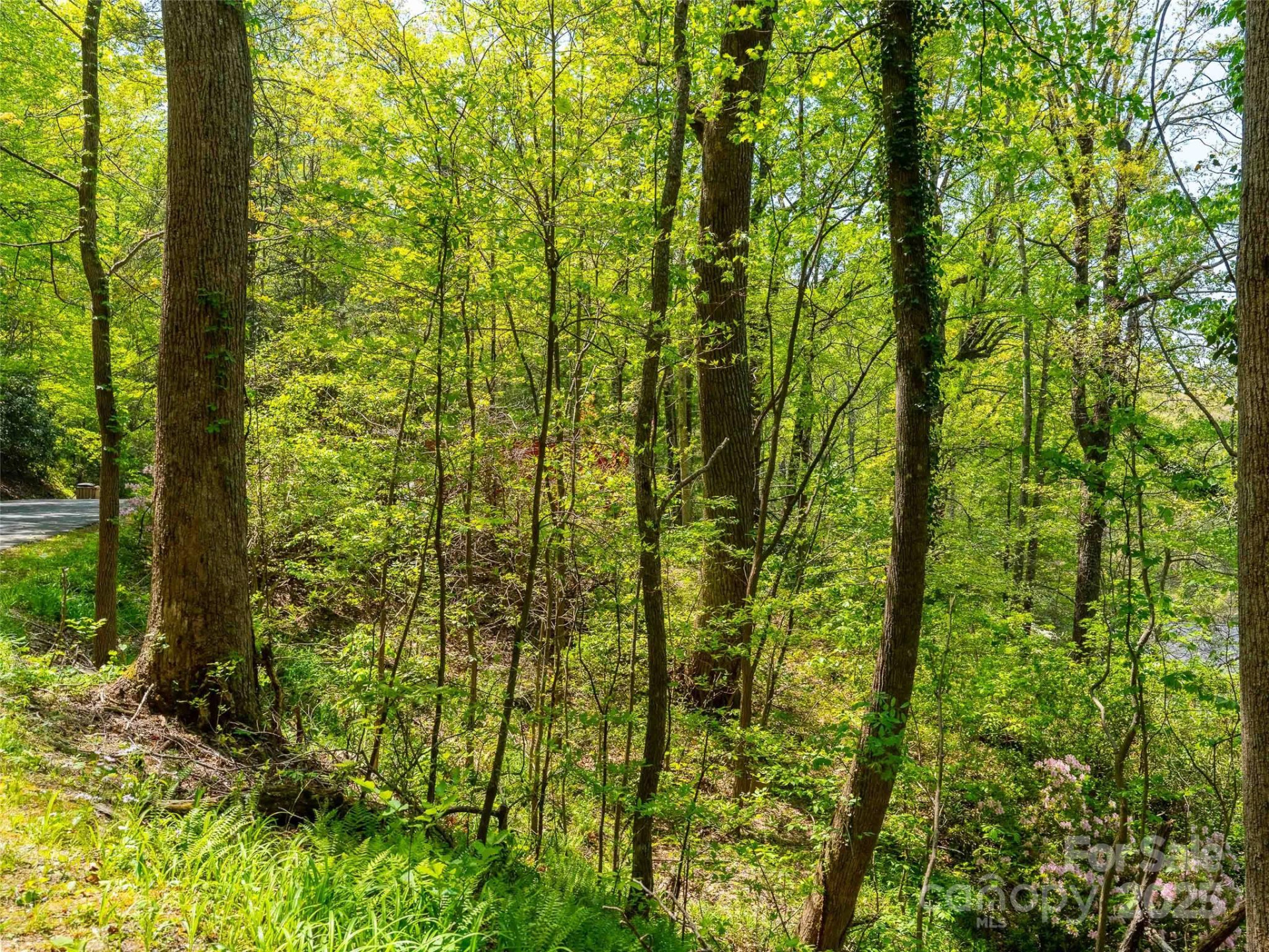 147 Sidney Lanier Drive - Photo 2