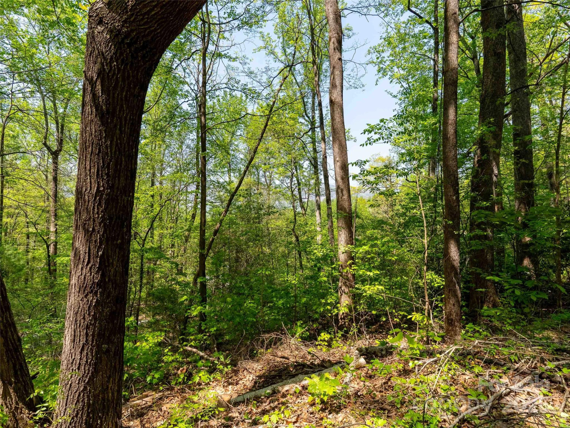 147 Sidney Lanier Drive - Photo 11