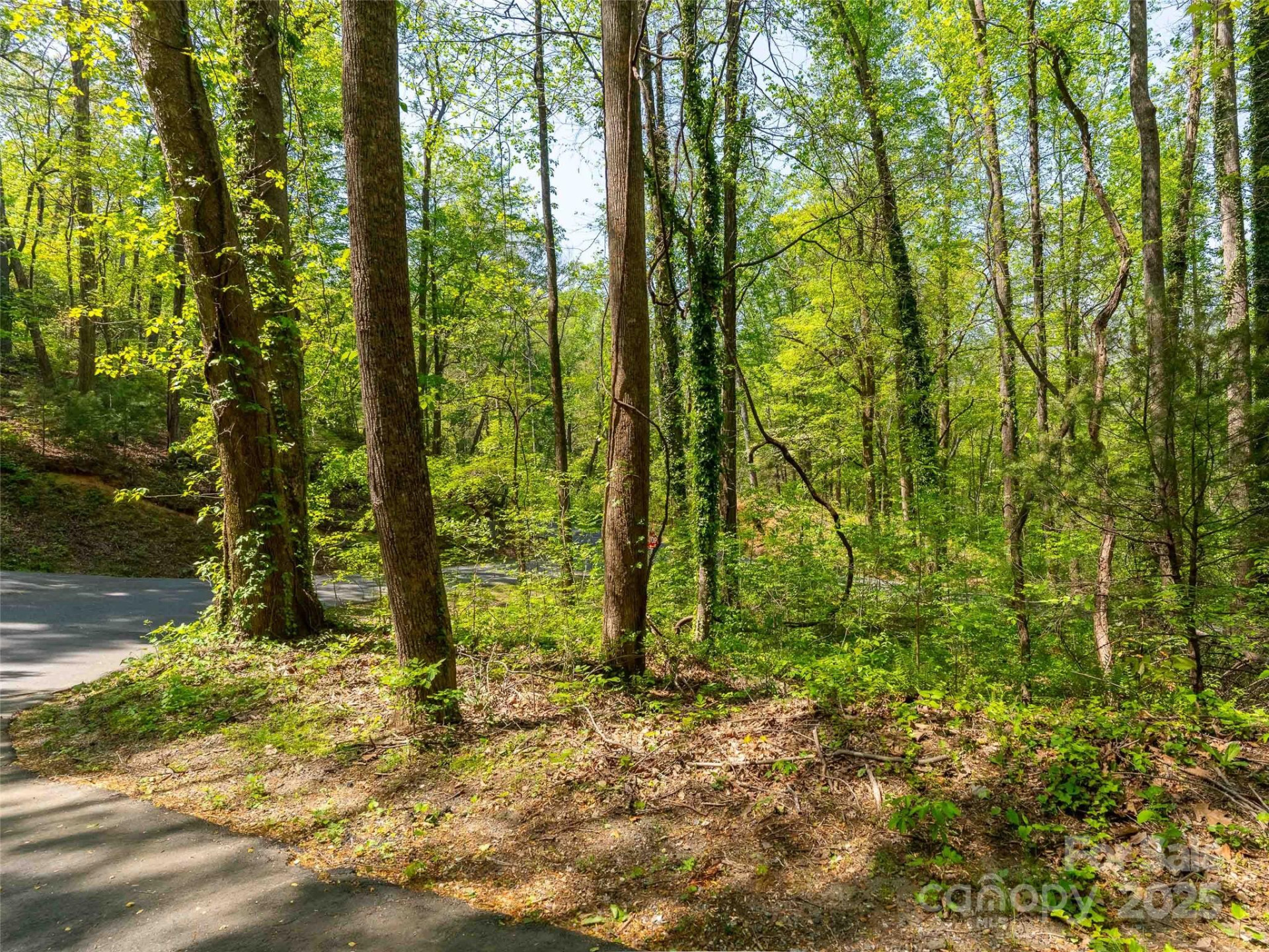 147 Sidney Lanier Drive - Photo 13