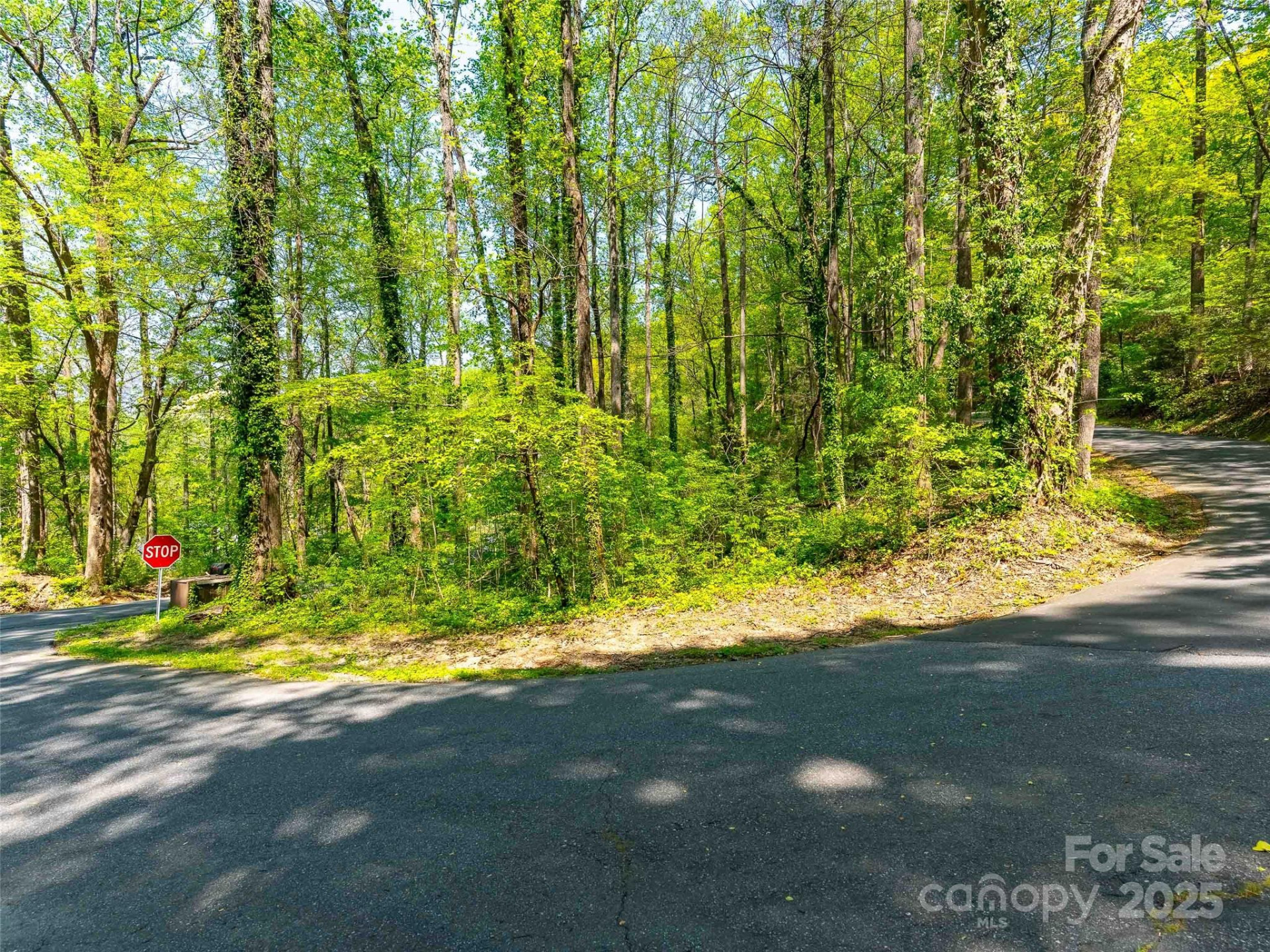 147 Sidney Lanier Drive - Photo 14