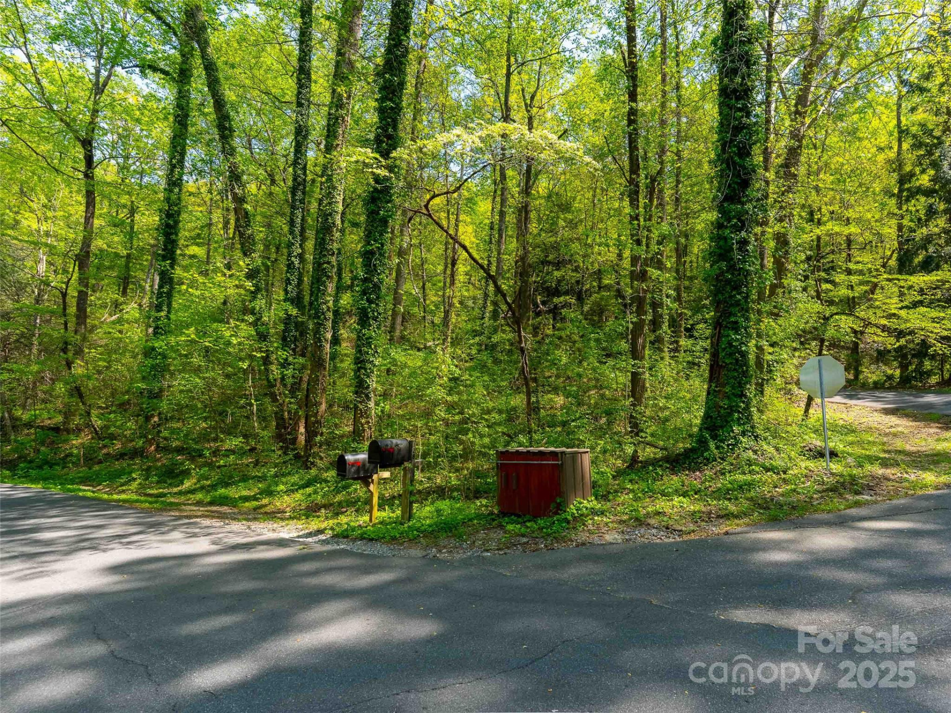 147 Sidney Lanier Drive - Photo 15