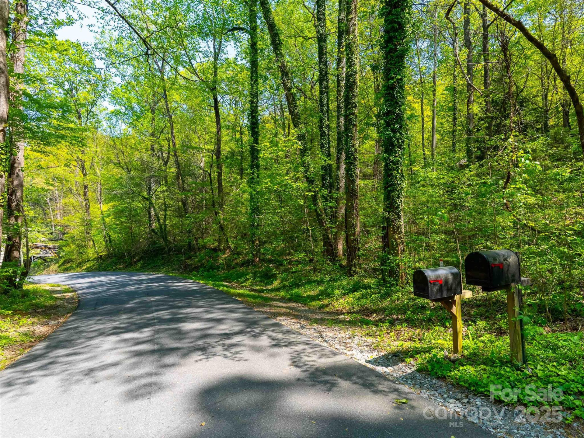 147 Sidney Lanier Drive - Photo 16