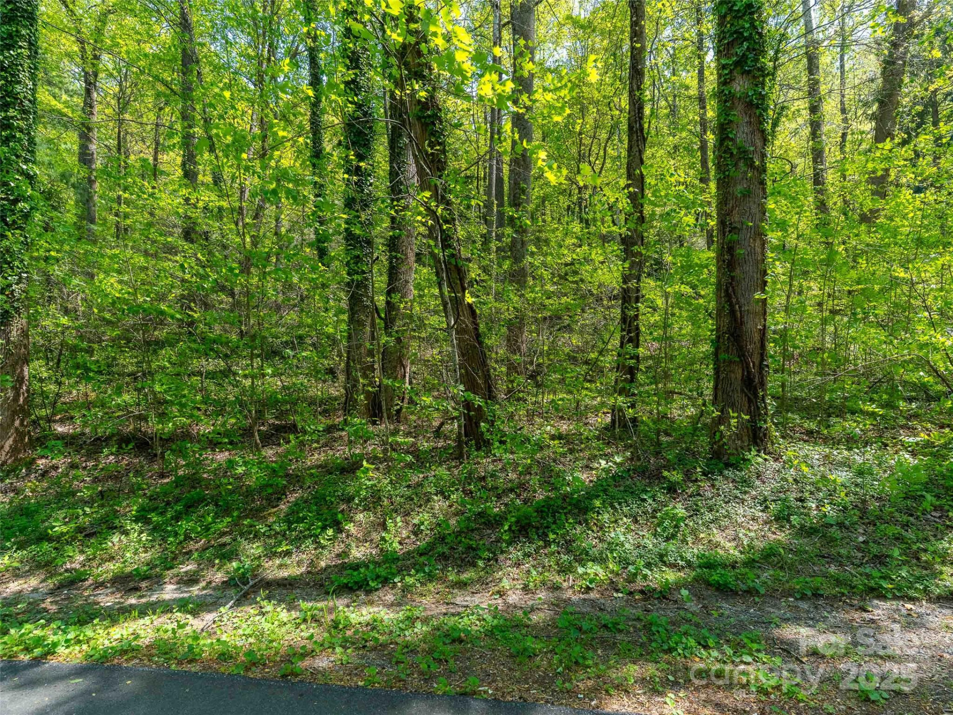 147 Sidney Lanier Drive - Photo 17