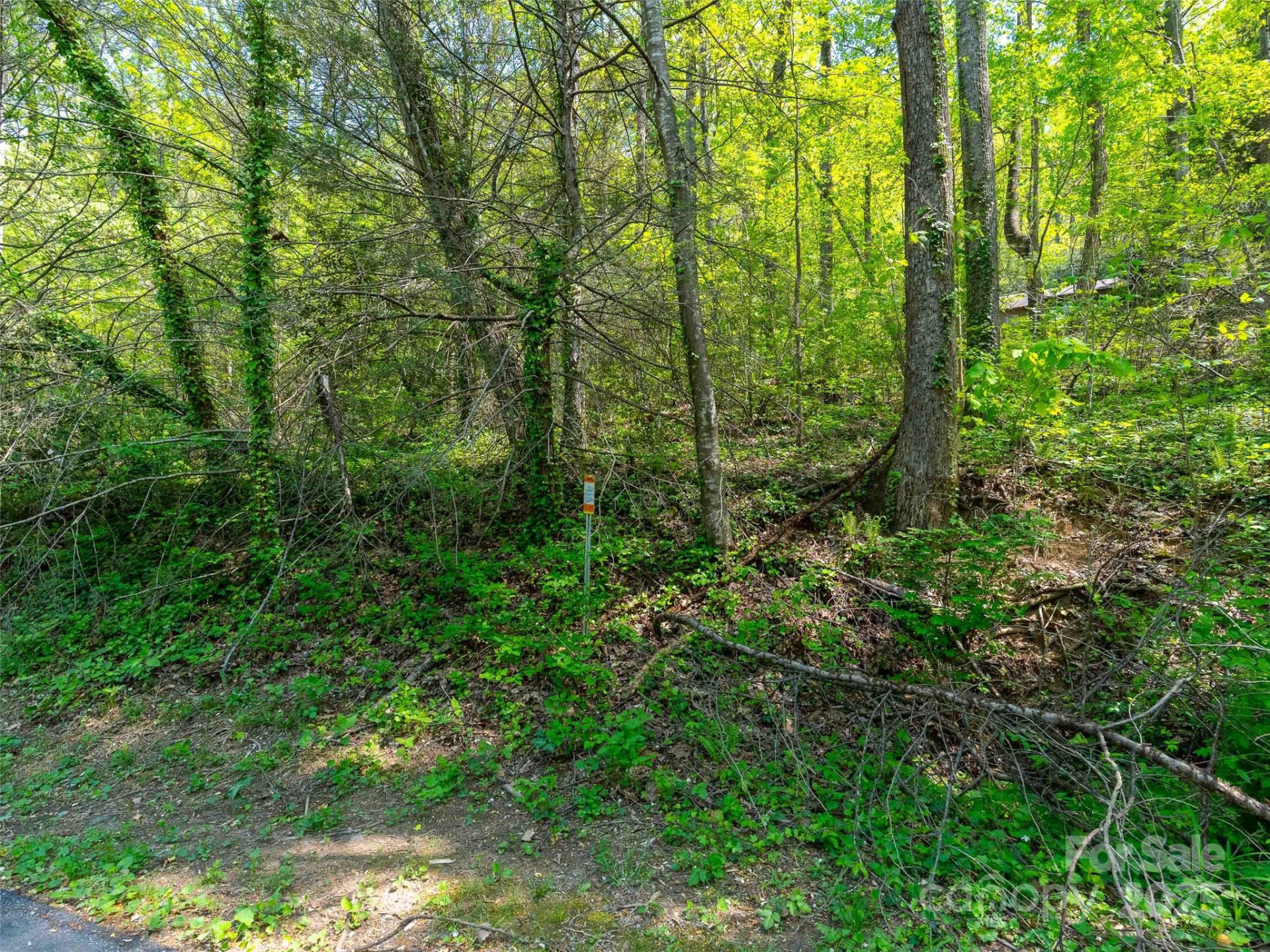 147 Sidney Lanier Drive - Photo 18