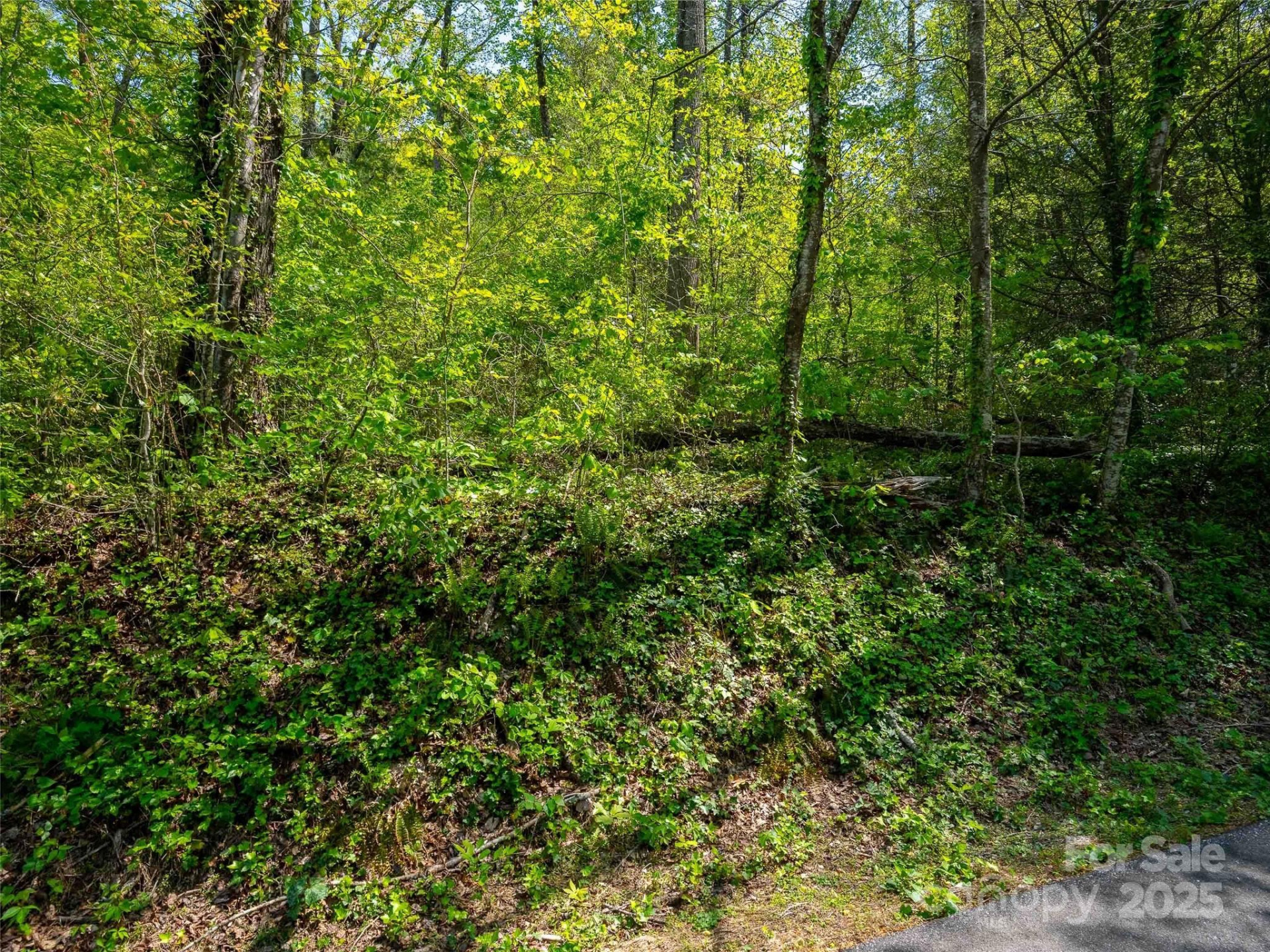 147 Sidney Lanier Drive - Photo 19