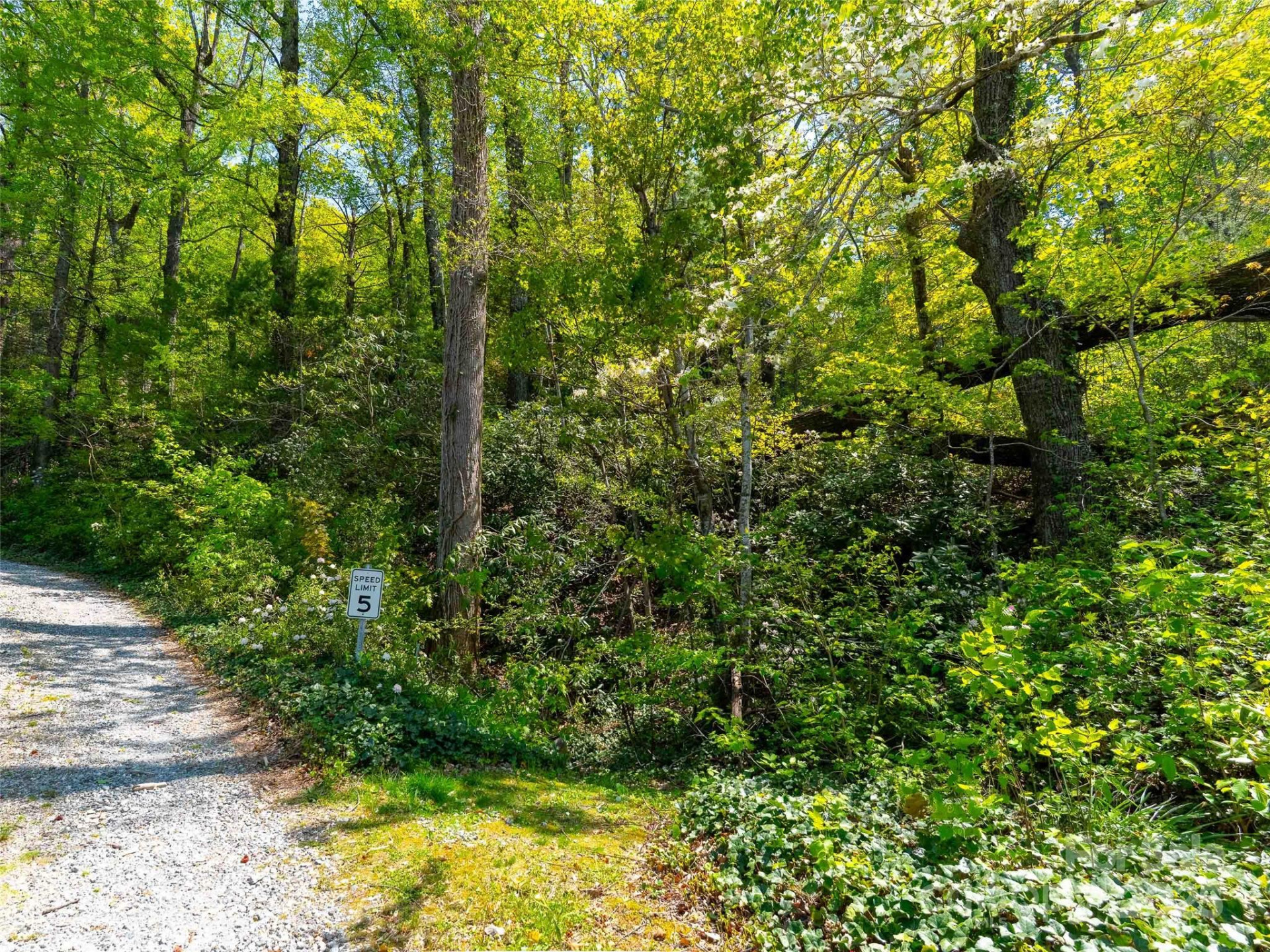 147 Sidney Lanier Drive - Photo 20