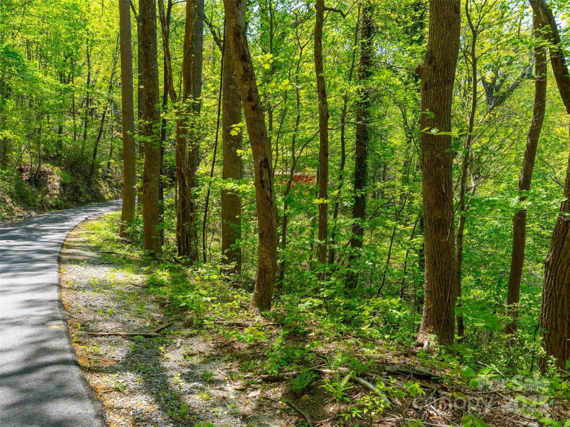 147 Sidney Lanier Drive - Photo 3