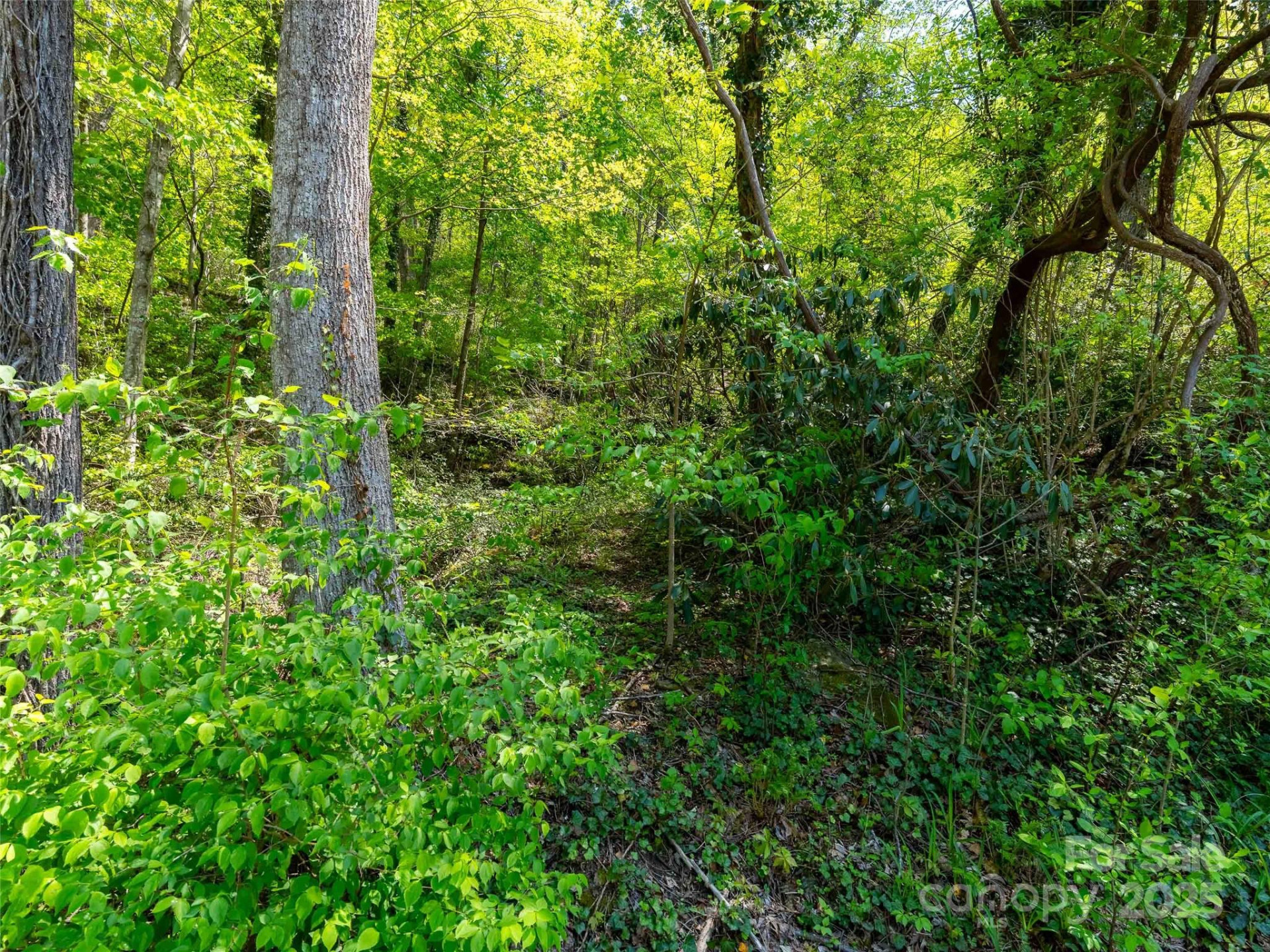 147 Sidney Lanier Drive - Photo 24