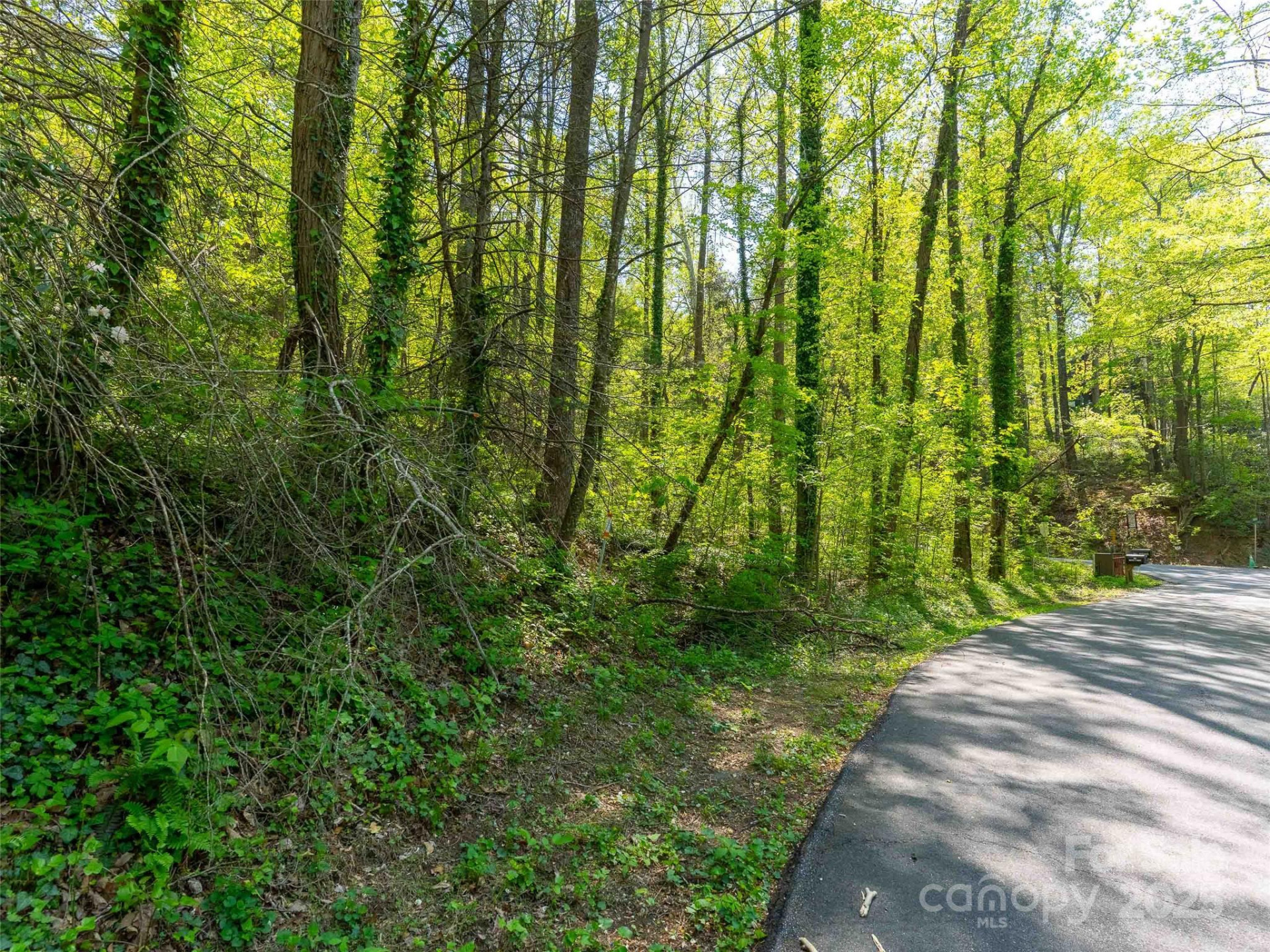 147 Sidney Lanier Drive - Photo 25