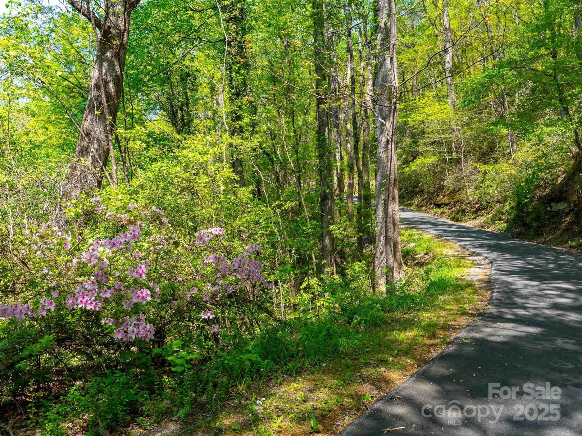 147 Sidney Lanier Drive - Photo 4