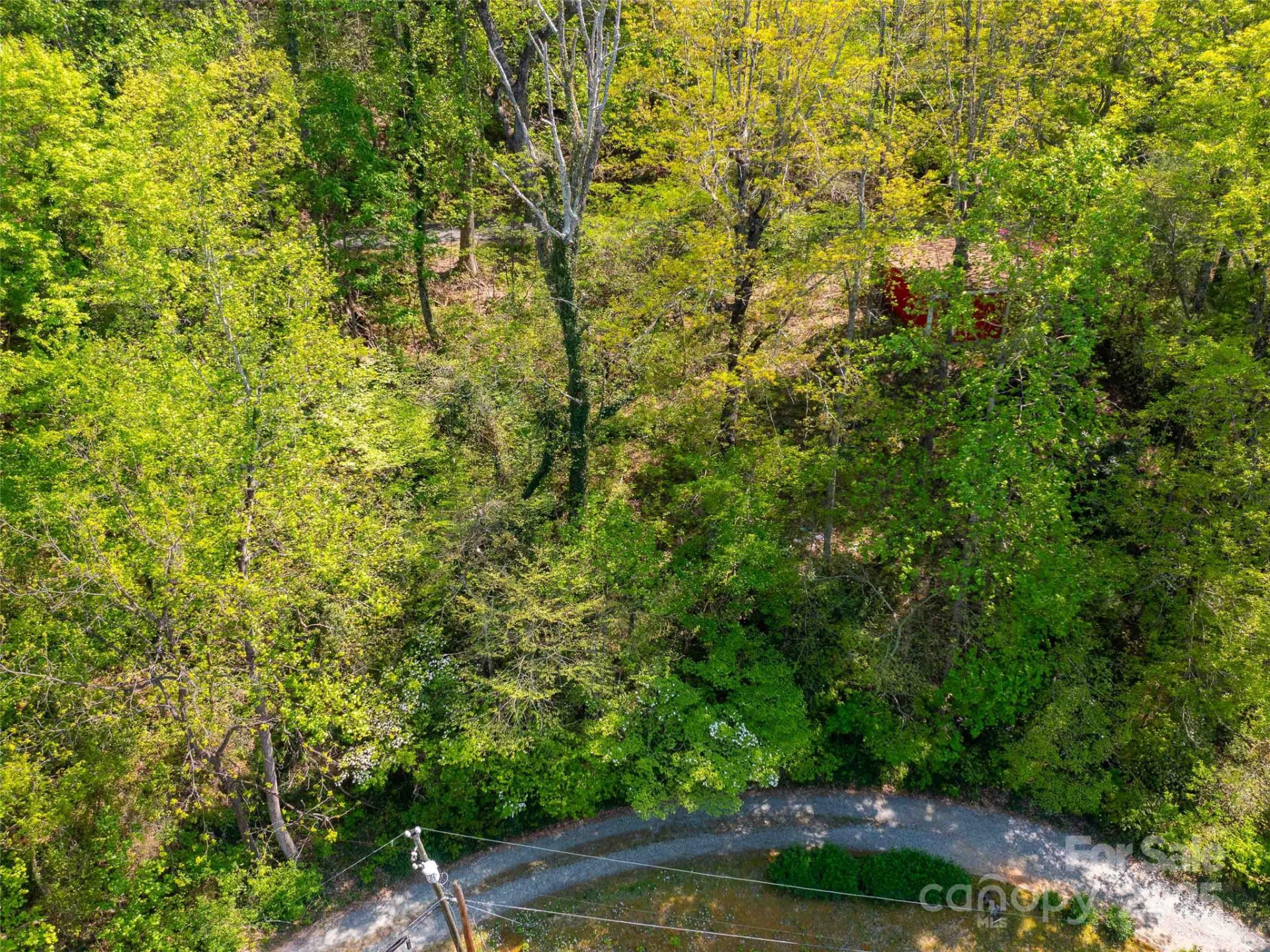 147 Sidney Lanier Drive - Photo 34