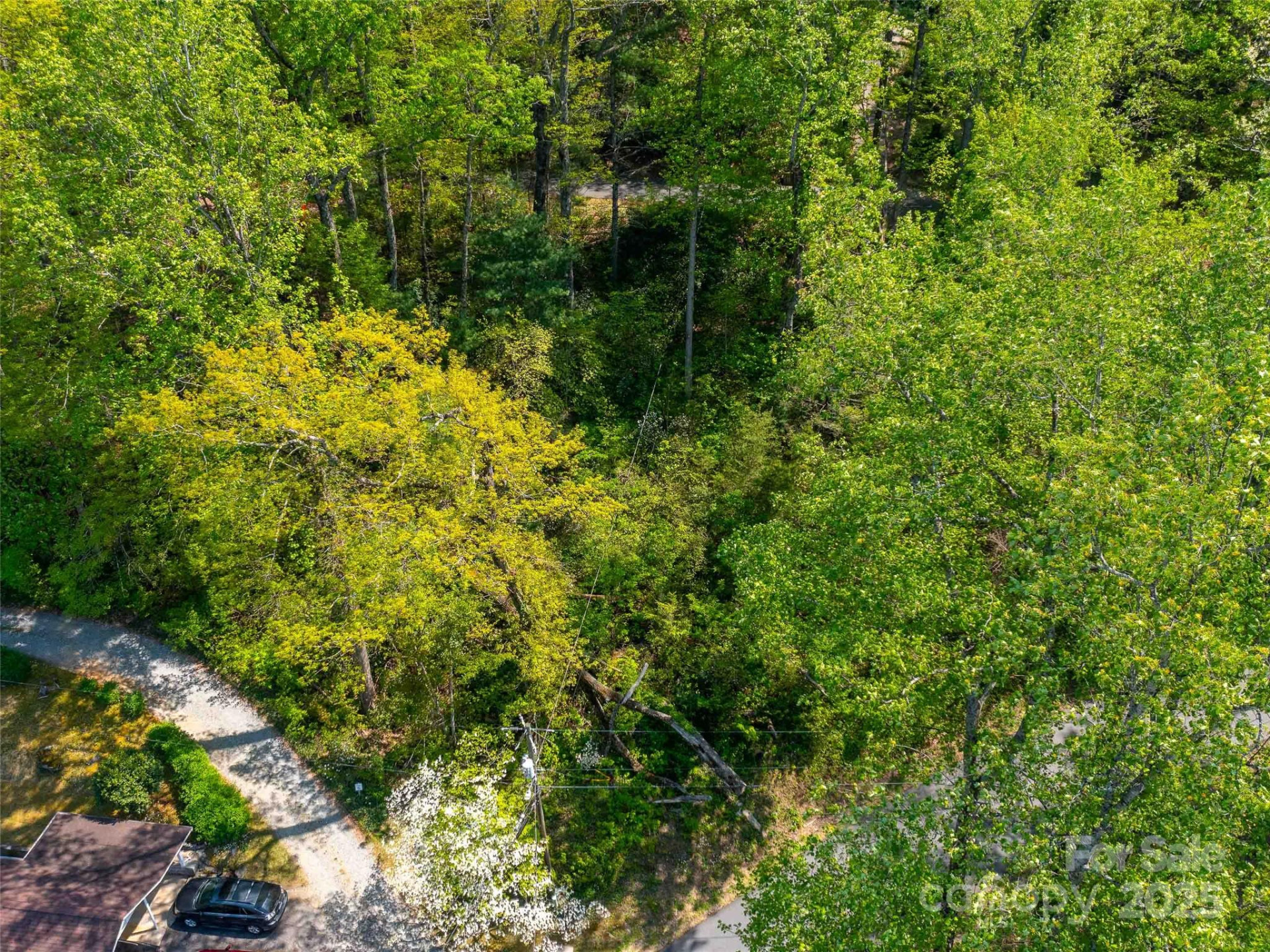 147 Sidney Lanier Drive - Photo 35