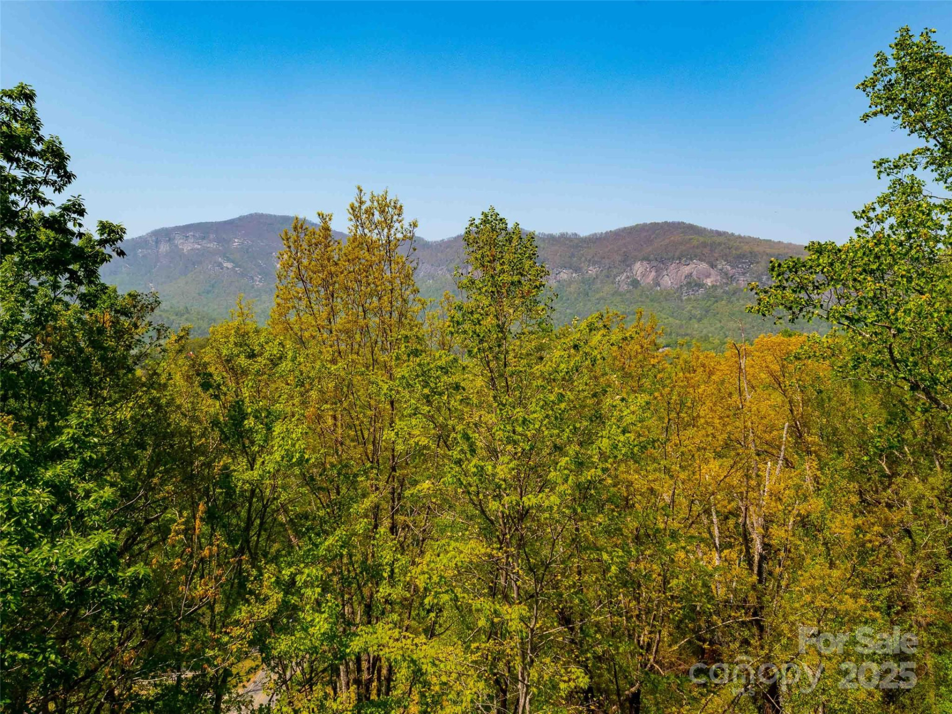 147 Sidney Lanier Drive - Photo 37