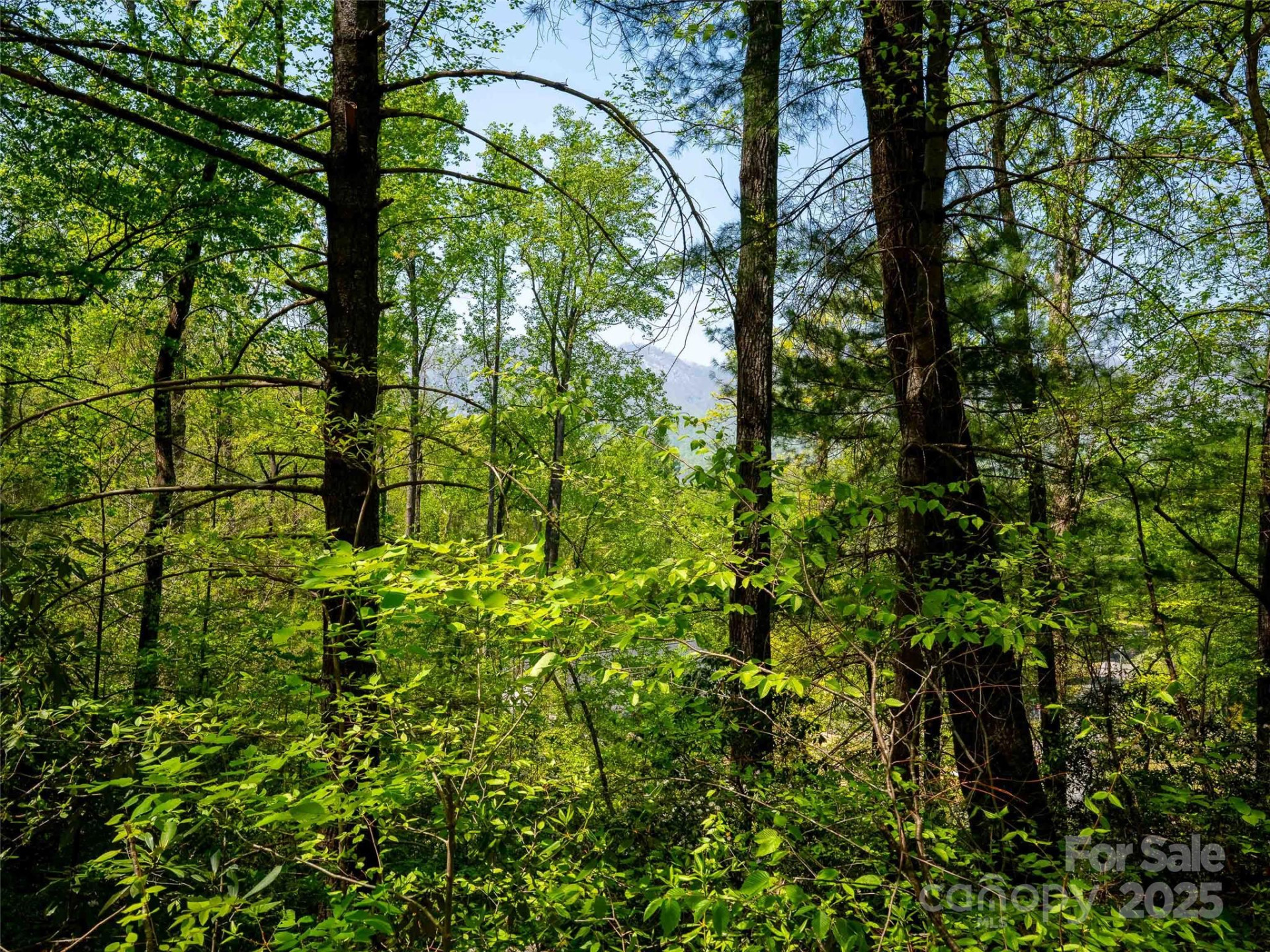 147 Sidney Lanier Drive - Photo 8