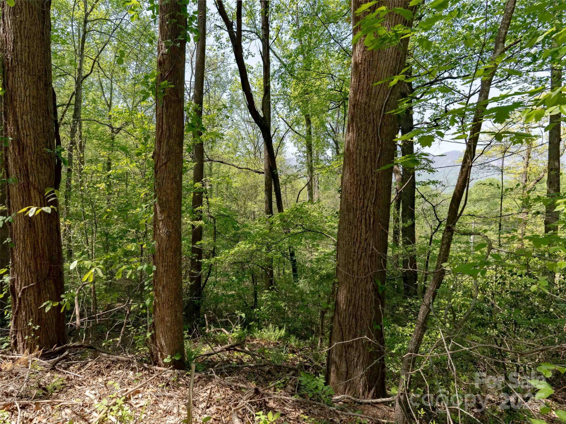 147 Sidney Lanier Drive - Photo 9