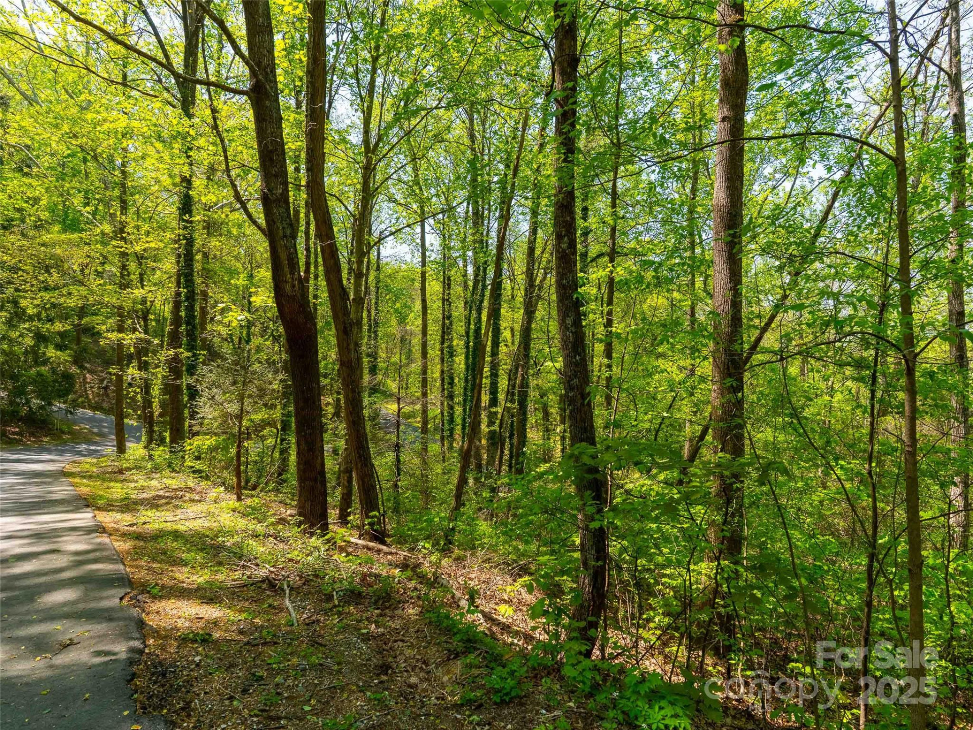 147 Sidney Lanier Drive - Photo 10