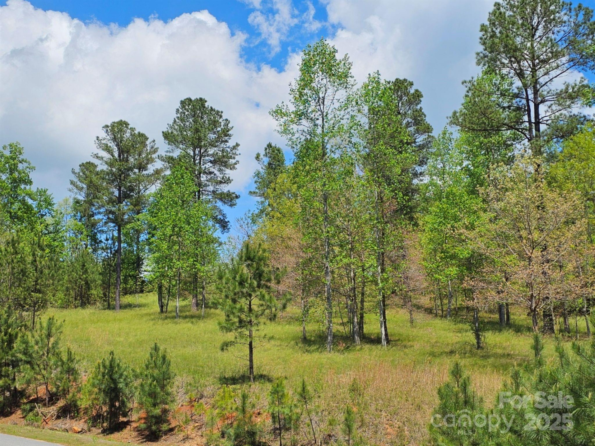 2109 Inlet Shore Road - Photo 2