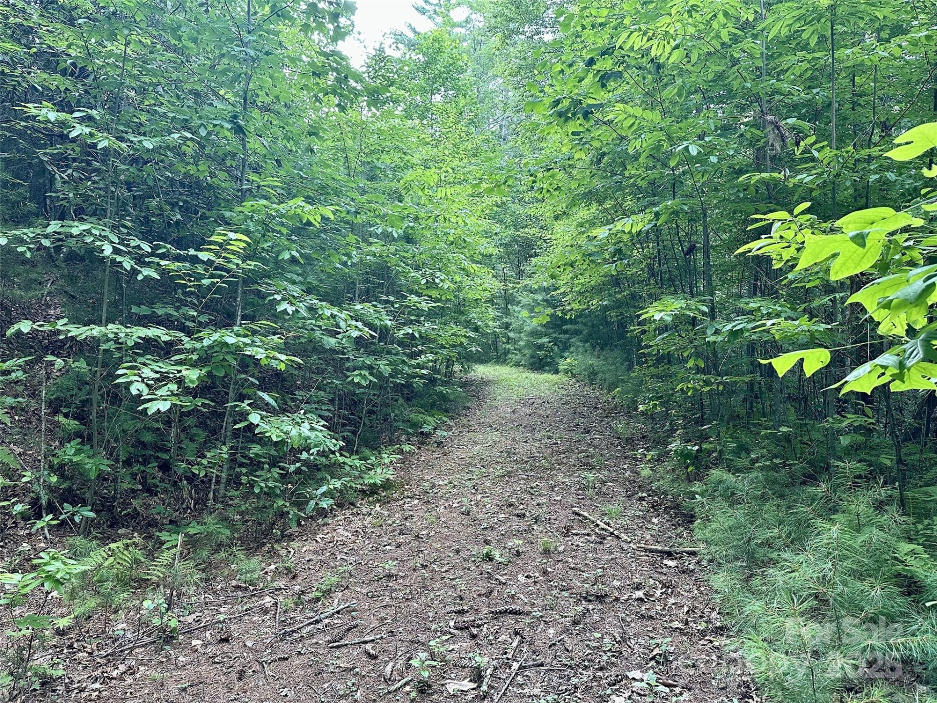 13 Wildlife Drive #13 - Photo 6