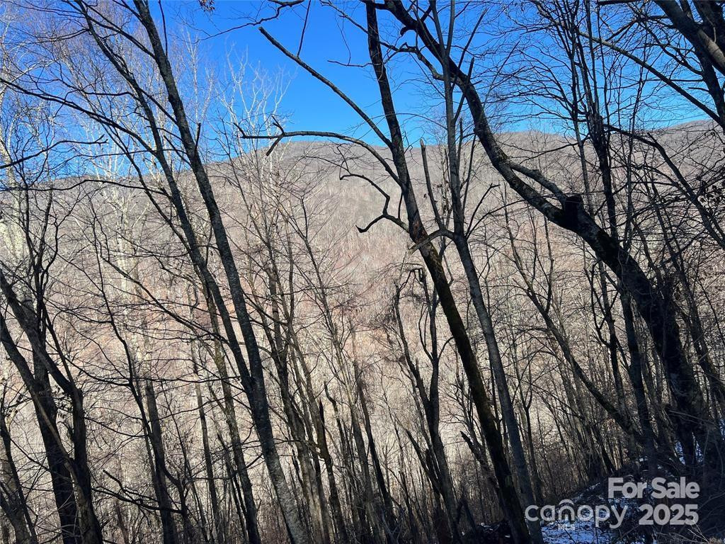 00 Puncheon Lane #149 - Photo 4