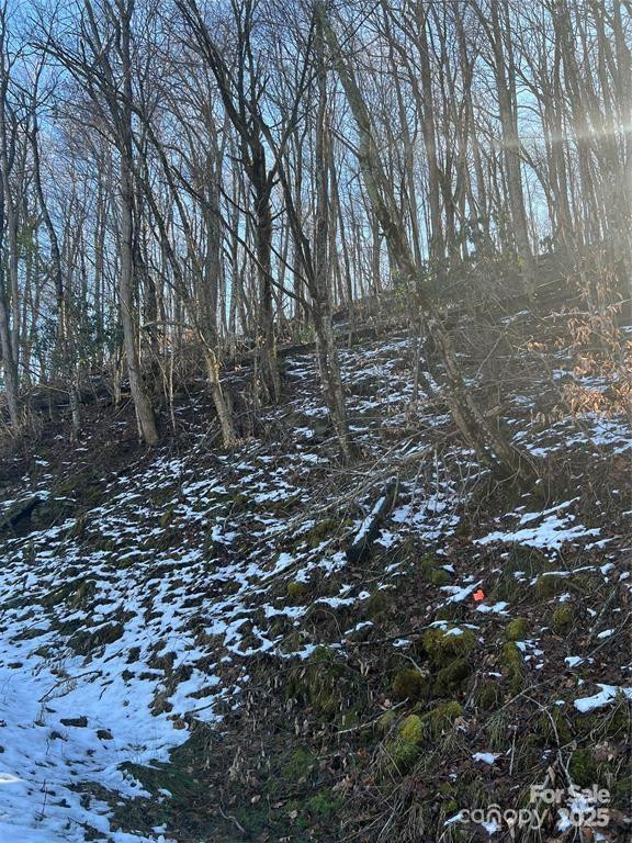 00 Puncheon Lane #149 - Photo 5