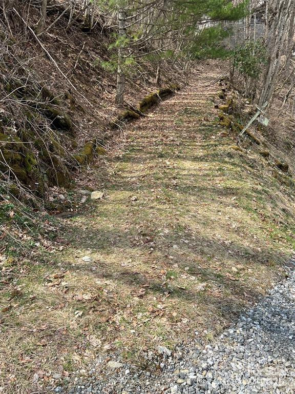 00 Puncheon Lane #149 - Photo 6