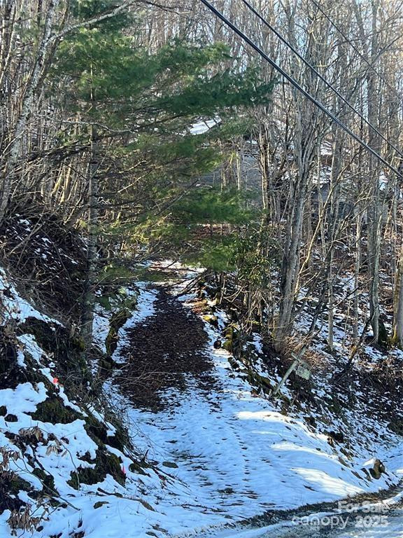 00 Puncheon Lane #149 - Photo 7