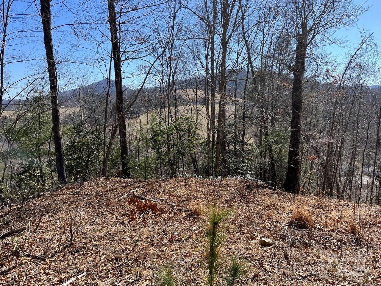 000 Trinity Place - Photo 3