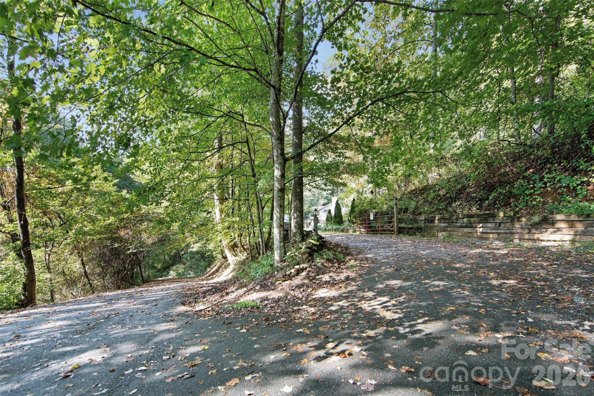 150 Sorghum Drive - Photo 46