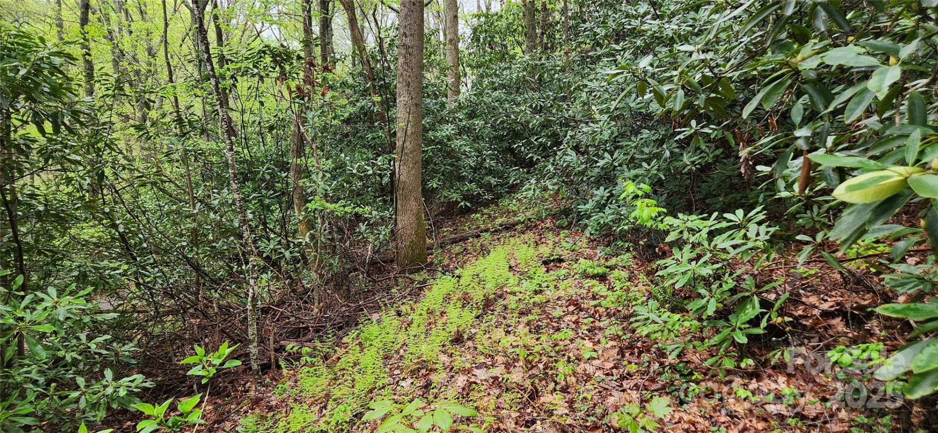 99999 Atherton Way - Photo 4