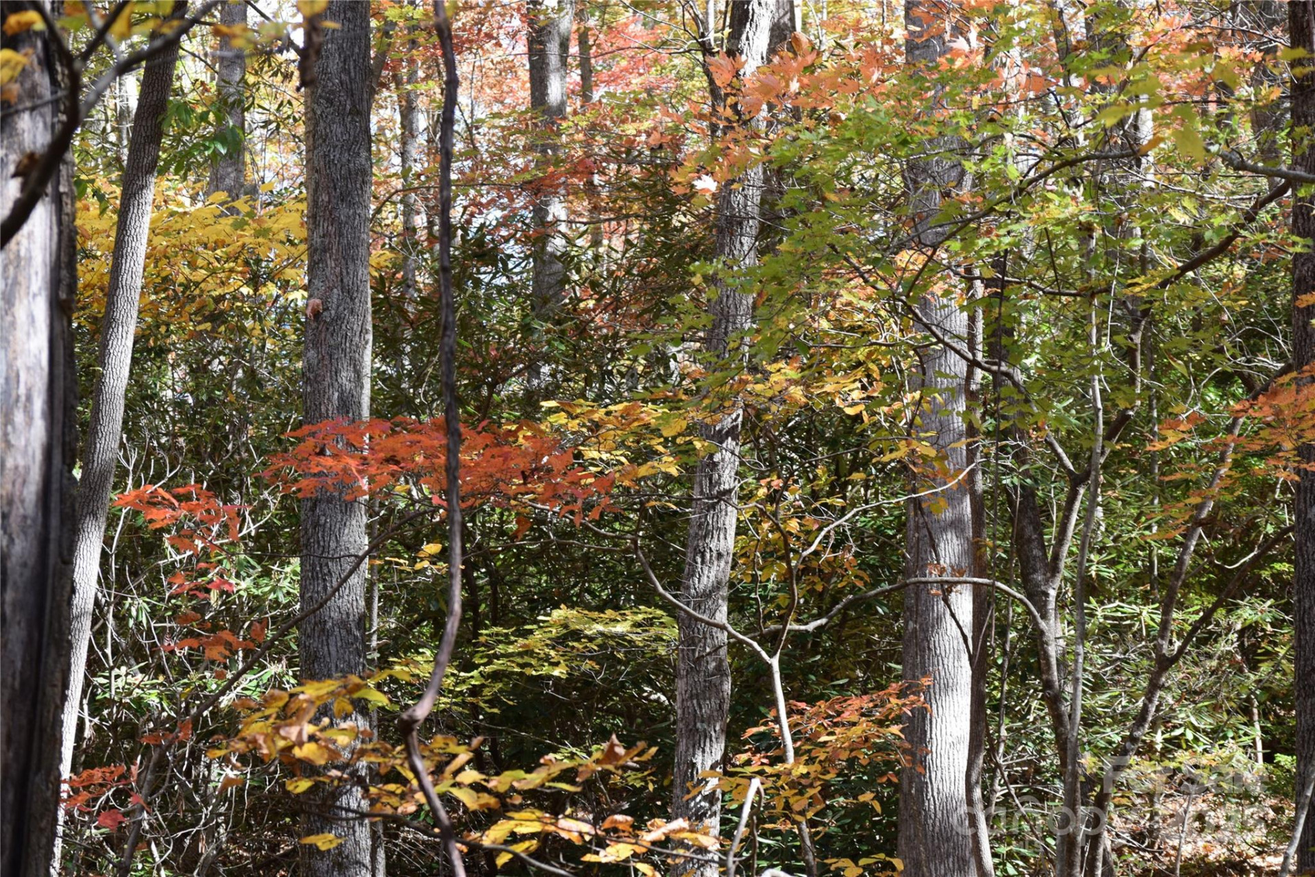 TBD Clear Creek Road