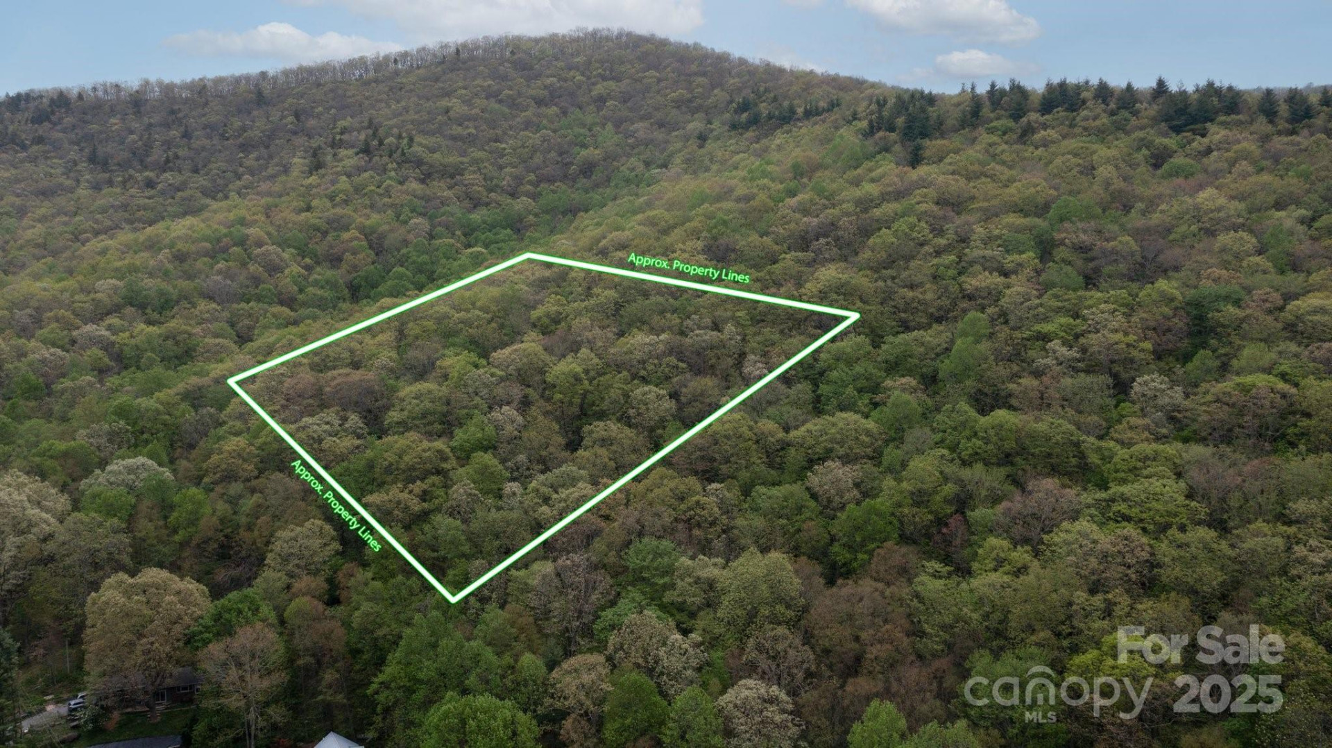 TBD Clear Creek Road - Photo 11