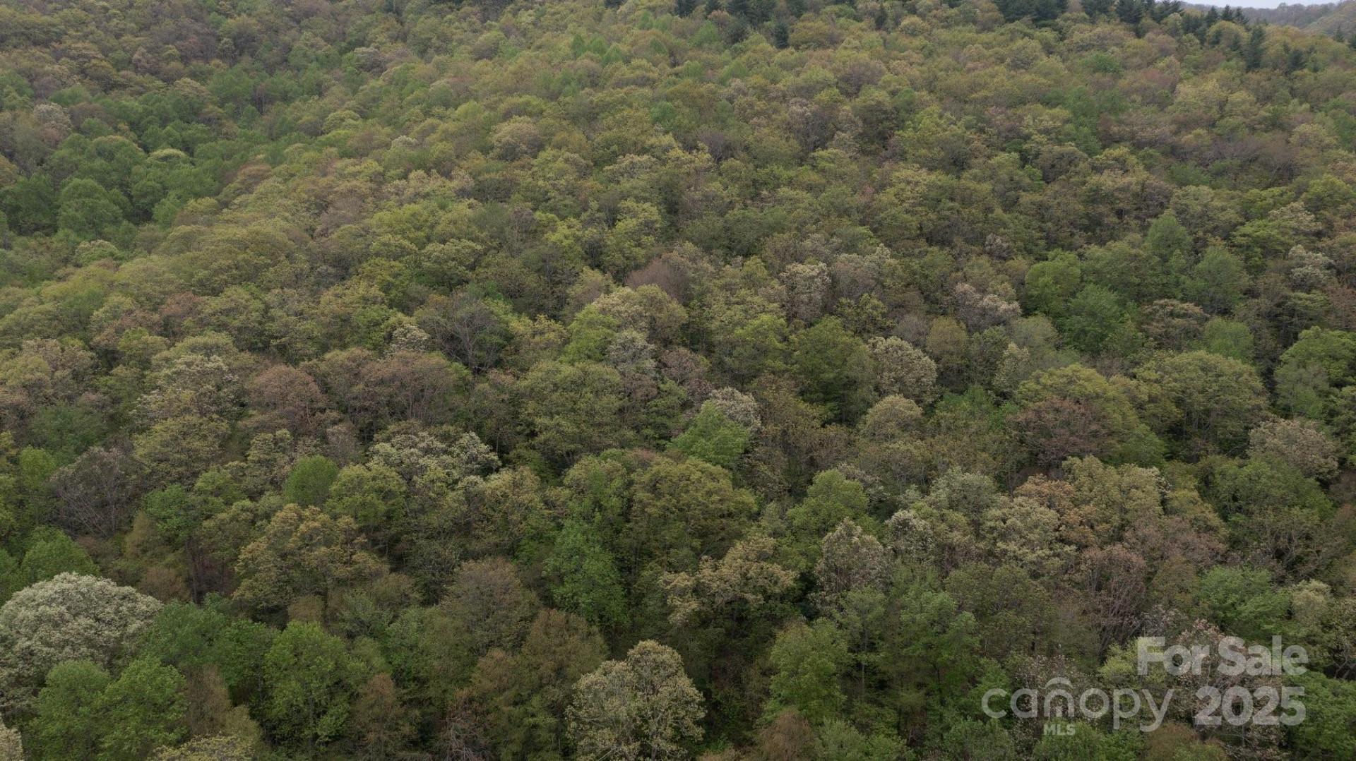 TBD Clear Creek Road - Photo 14