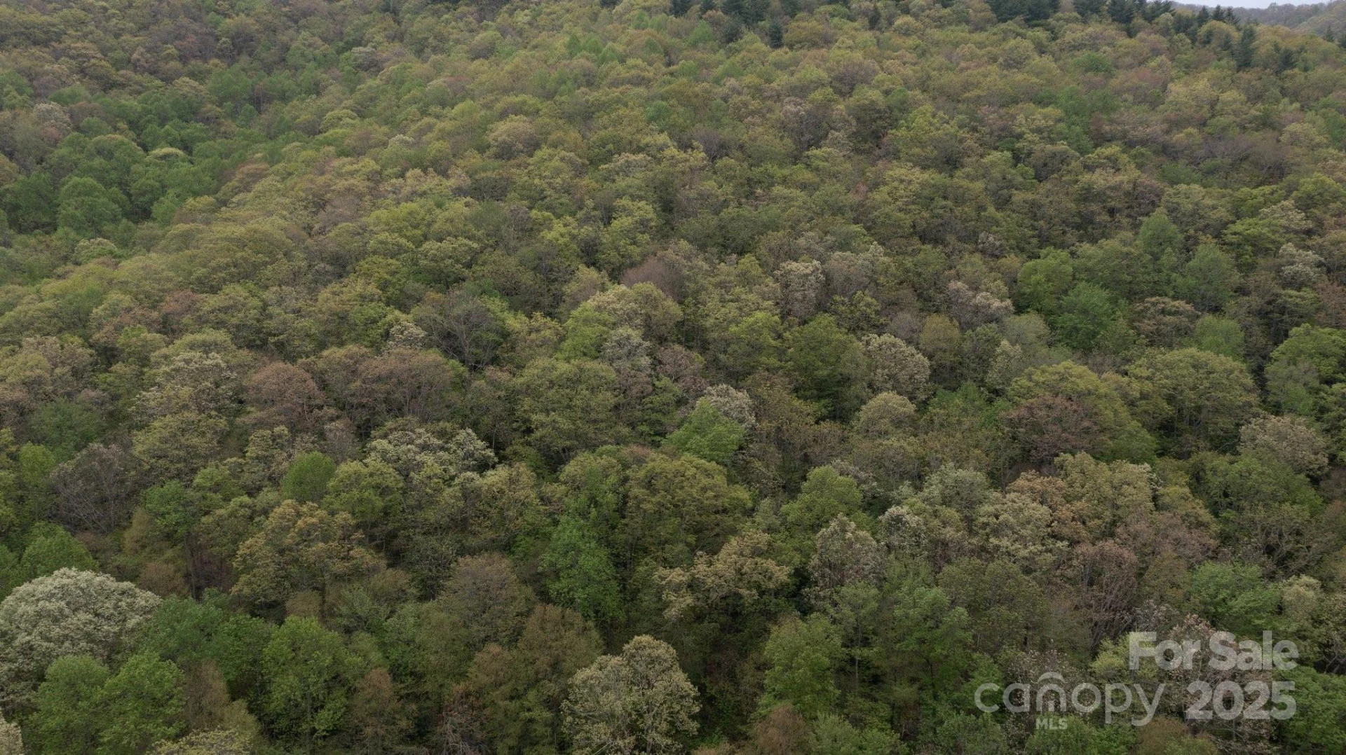 TBD Clear Creek Road - Photo 14