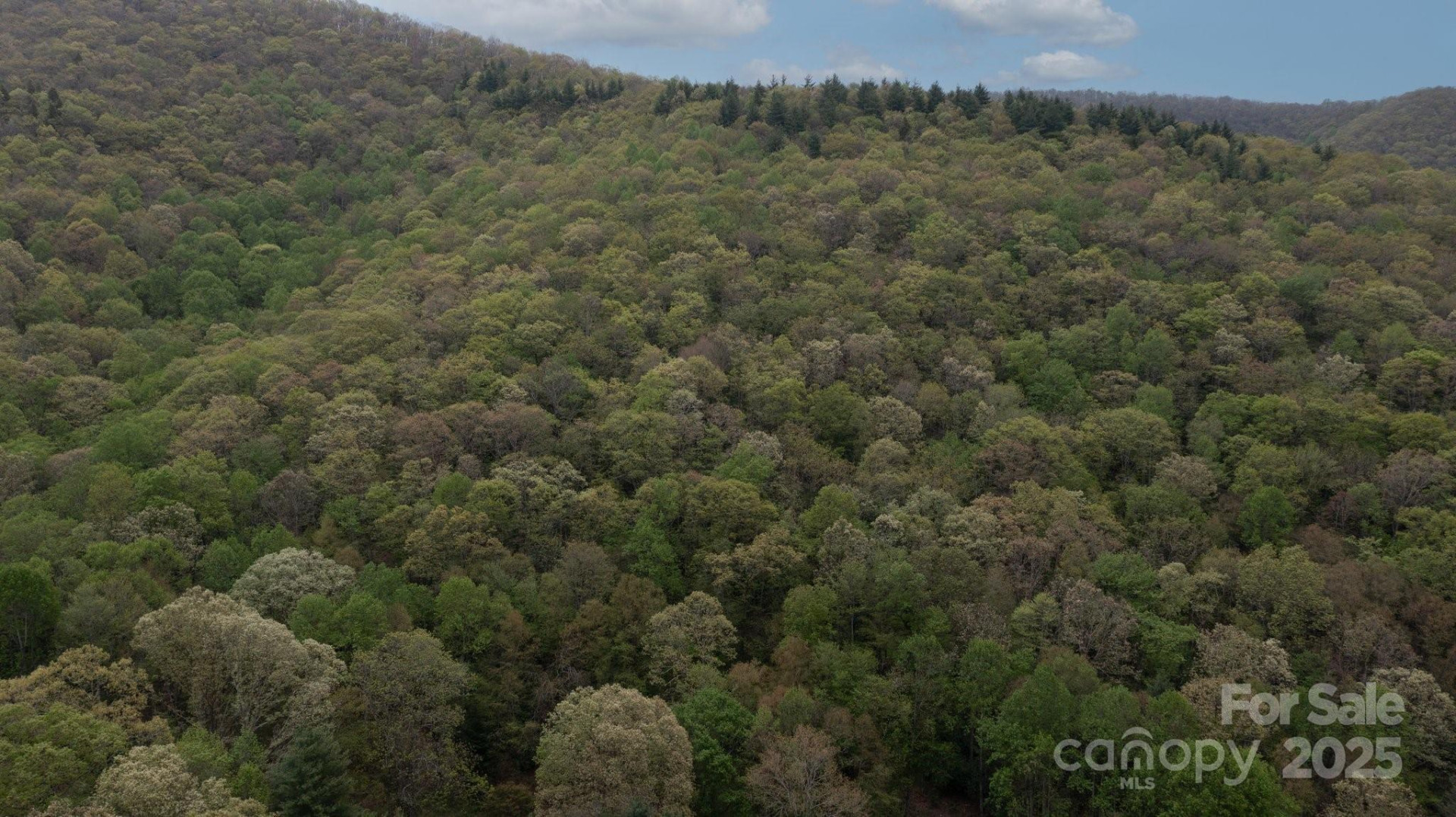 TBD Clear Creek Road - Photo 15