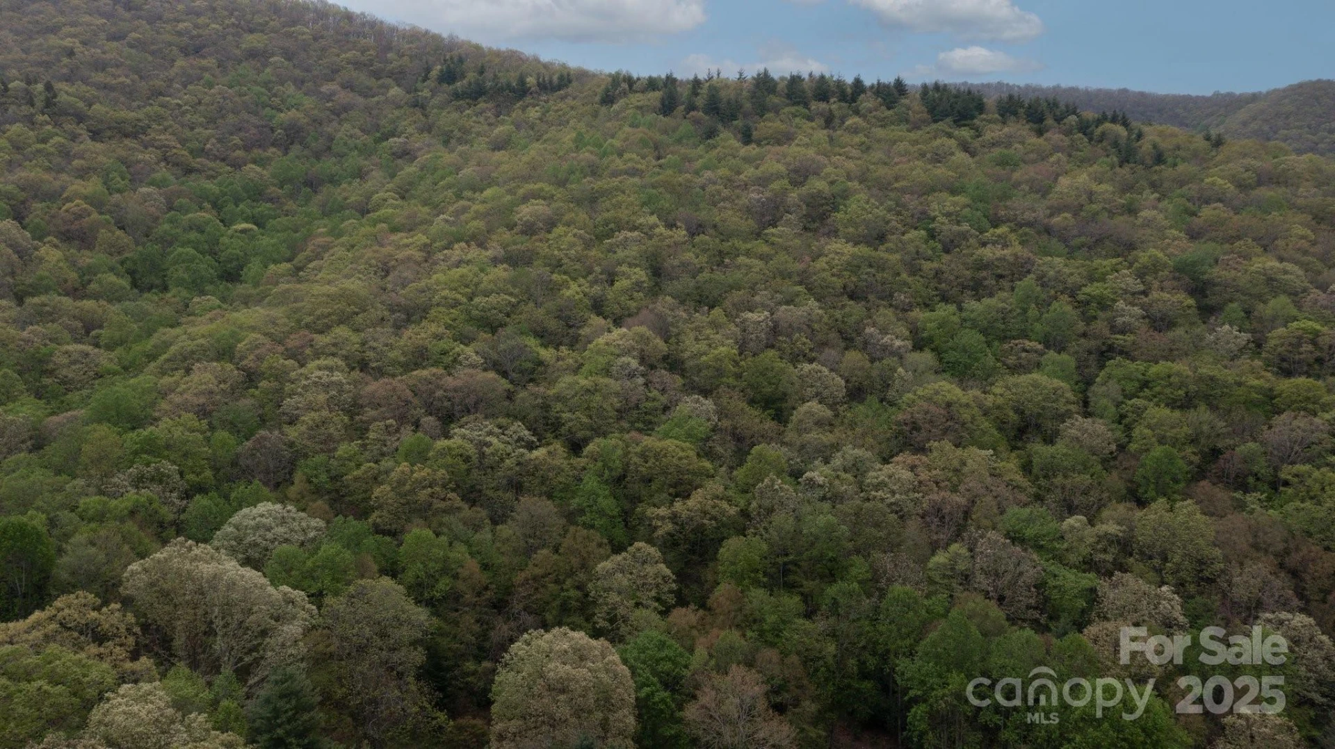 TBD Clear Creek Road - Photo 15