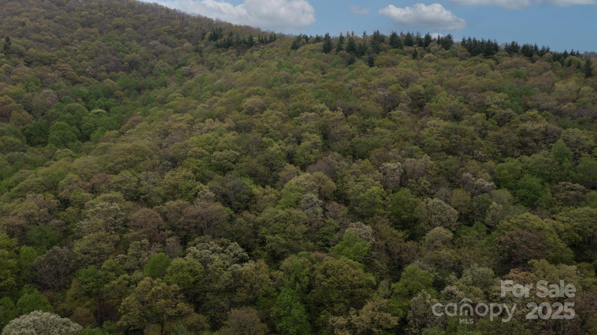 TBD Clear Creek Road - Photo 16