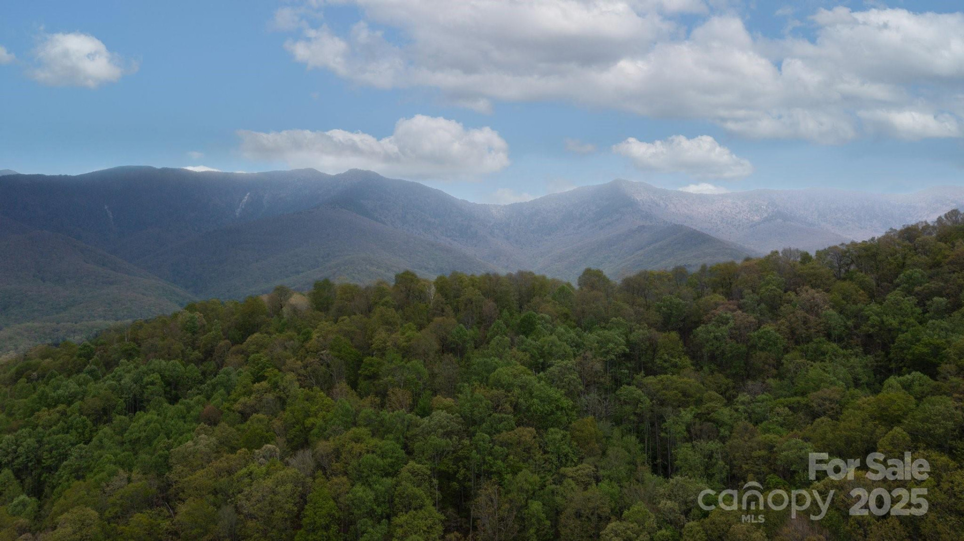 TBD Clear Creek Road - Photo 17