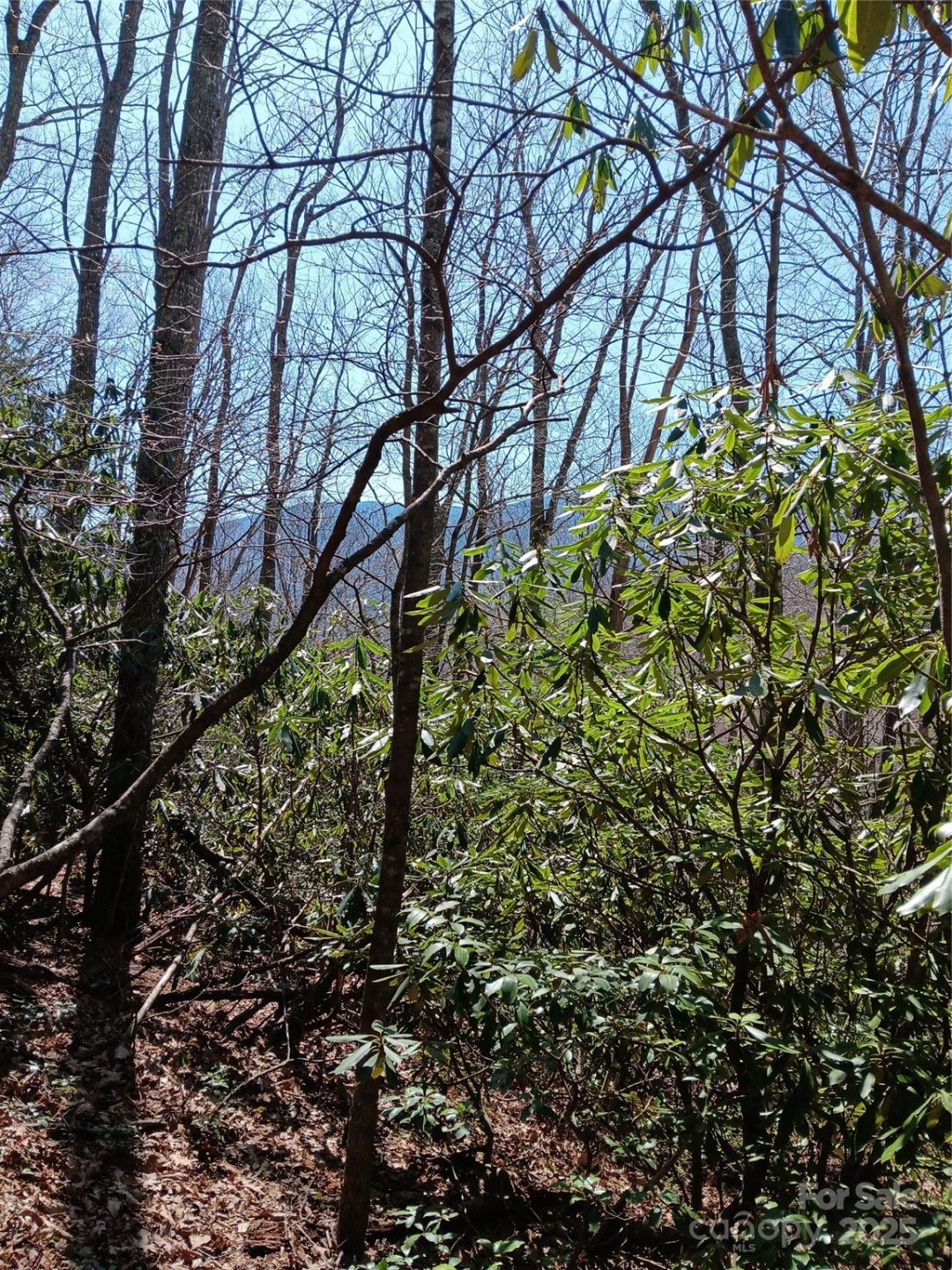 TBD Clear Creek Road - Photo 19