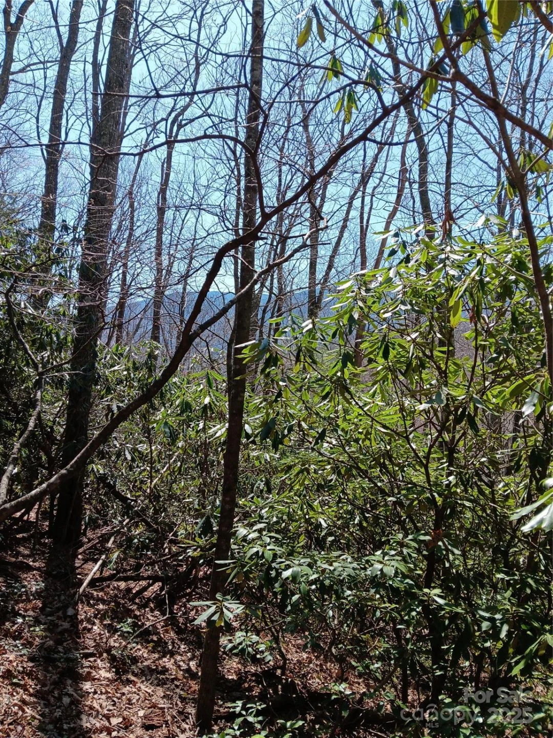TBD Clear Creek Road - Photo 19