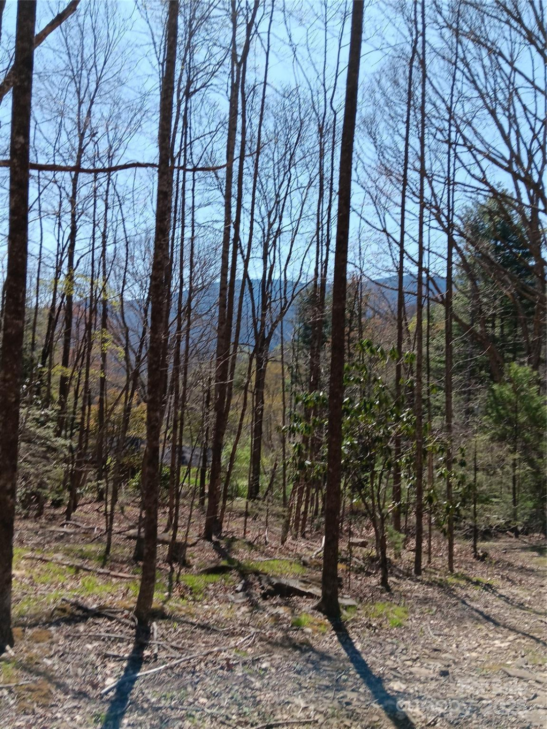 TBD Clear Creek Road - Photo 20