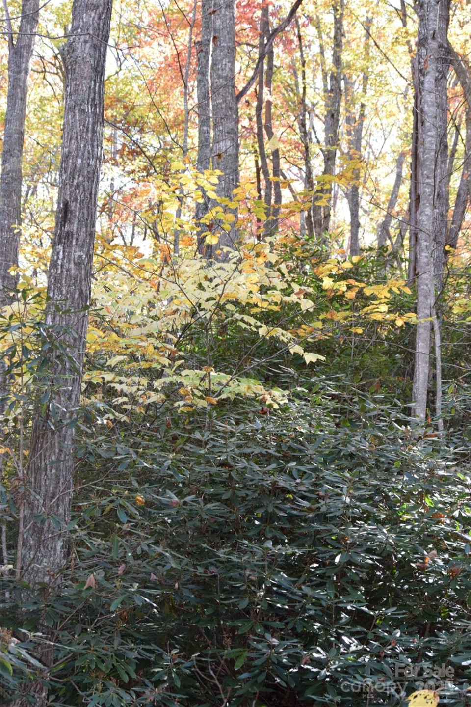 TBD Clear Creek Road - Photo 3