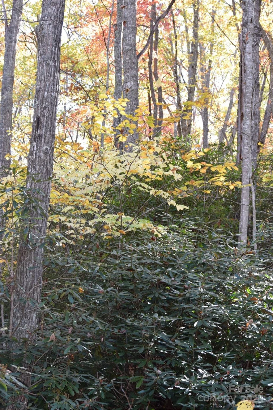 TBD Clear Creek Road - Photo 3