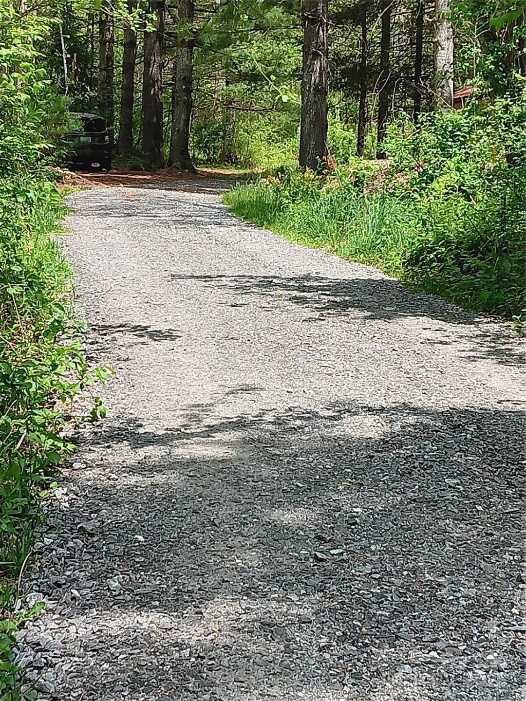 TBD Clear Creek Road - Photo 21