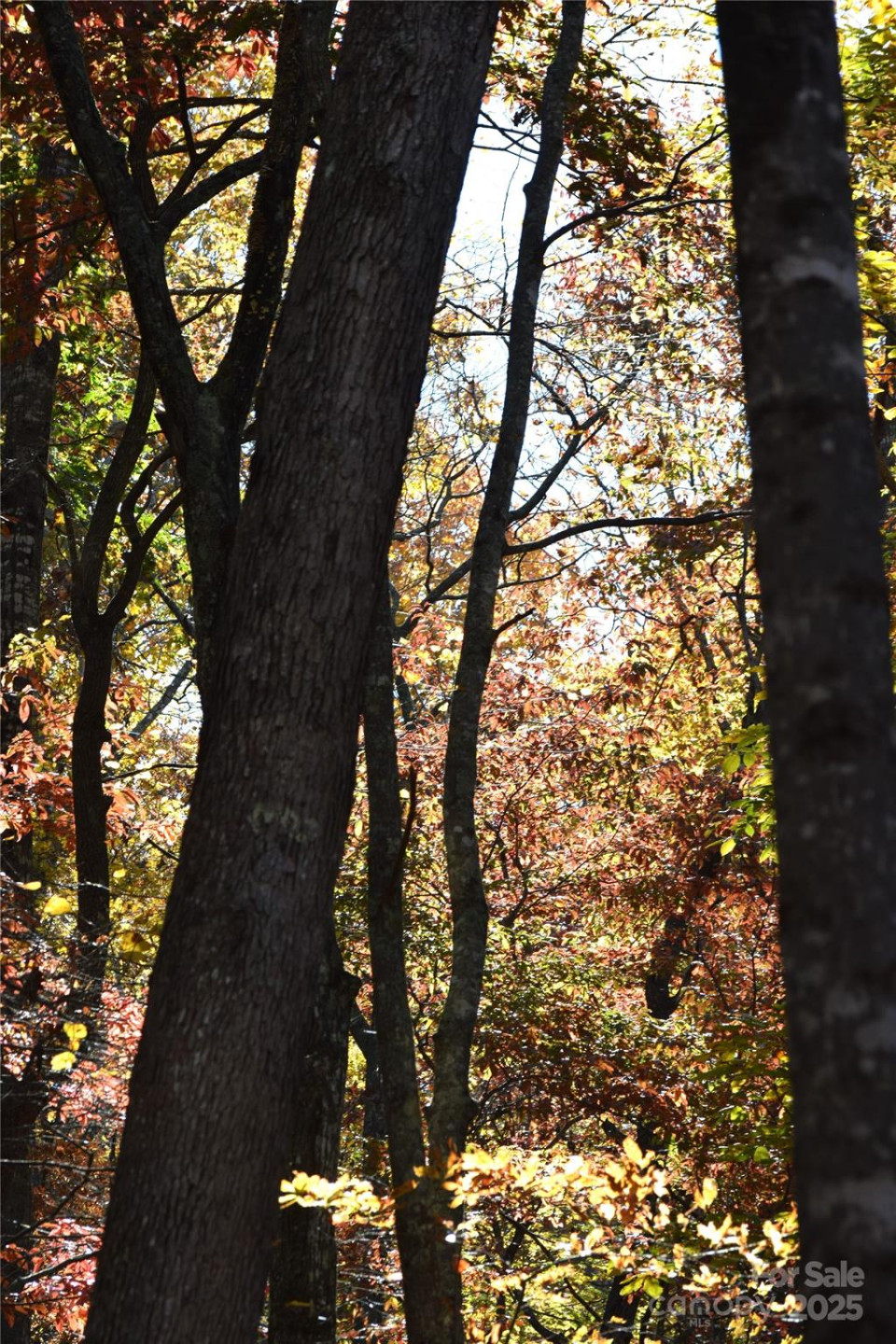 TBD Clear Creek Road - Photo 25