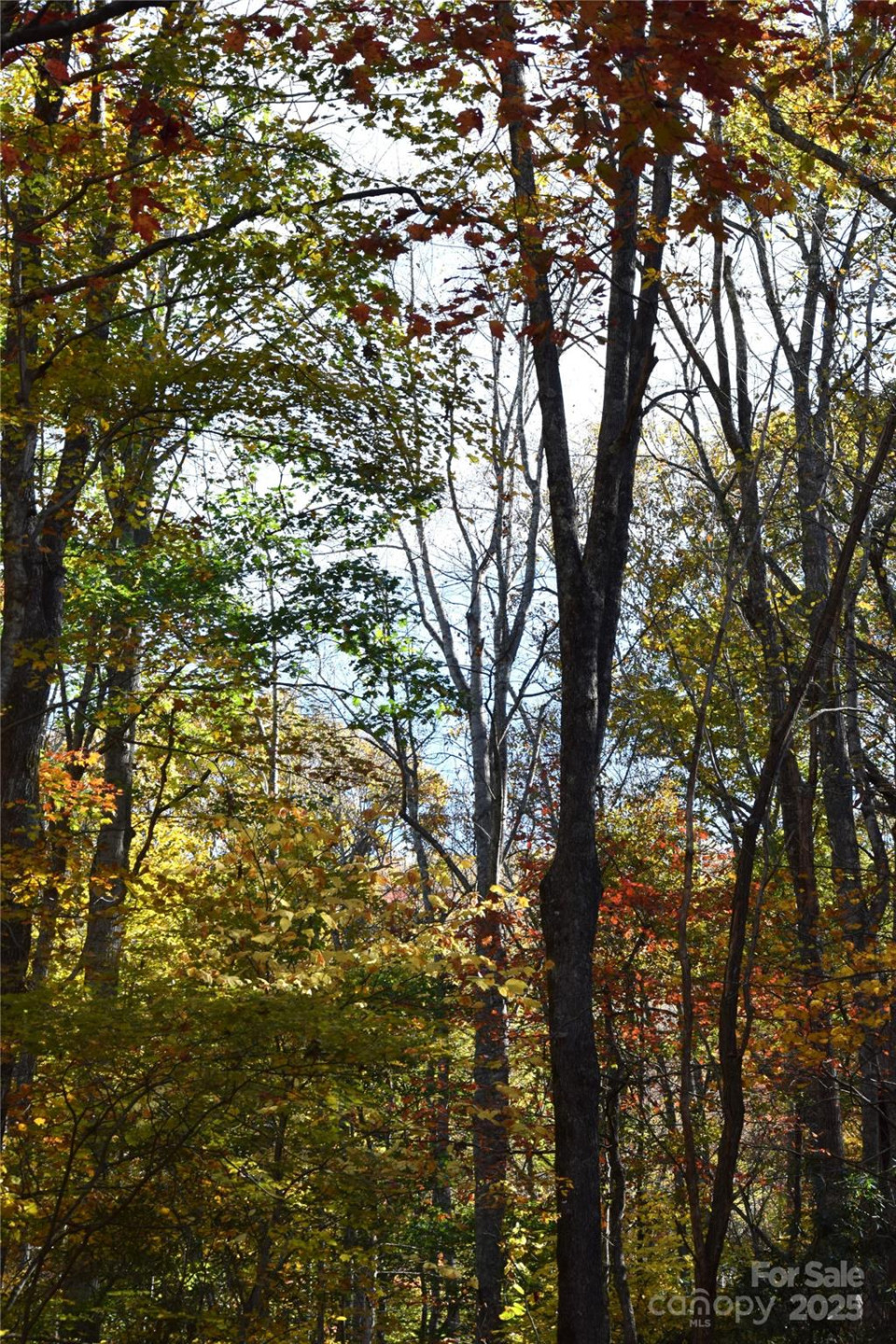 TBD Clear Creek Road - Photo 5