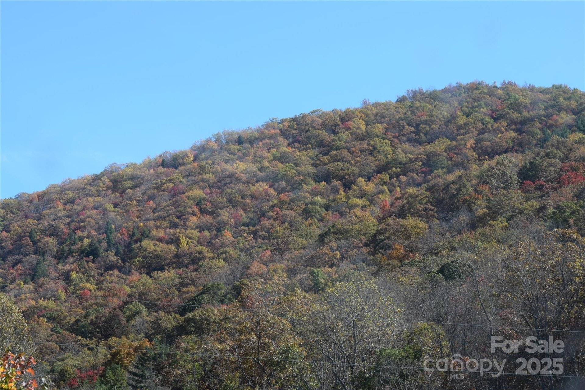 TBD Clear Creek Road - Photo 8