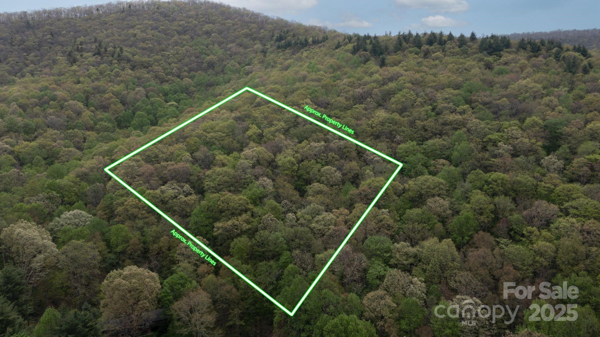 TBD Clear Creek Road - Photo 10