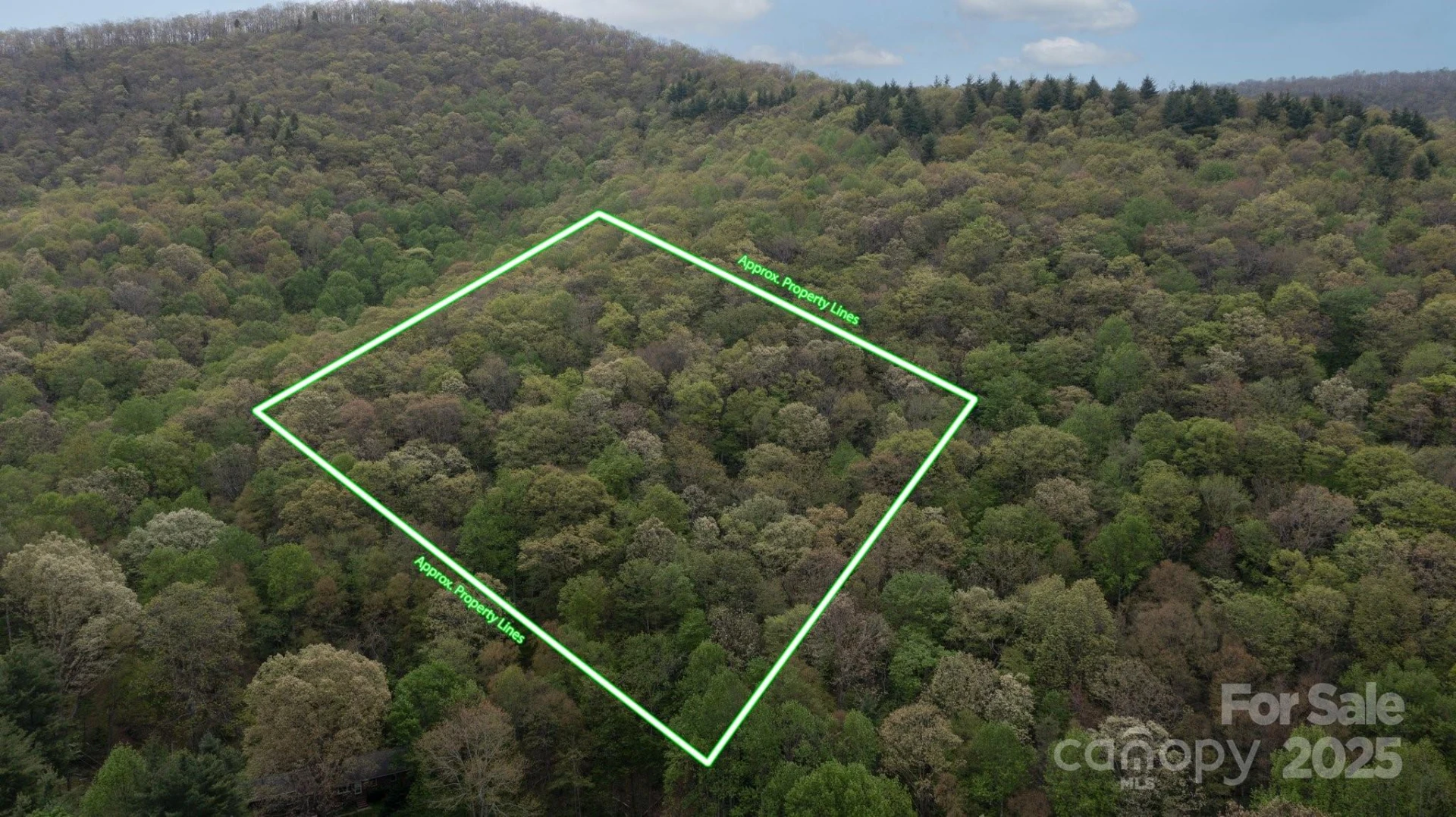 TBD Clear Creek Road - Photo 10